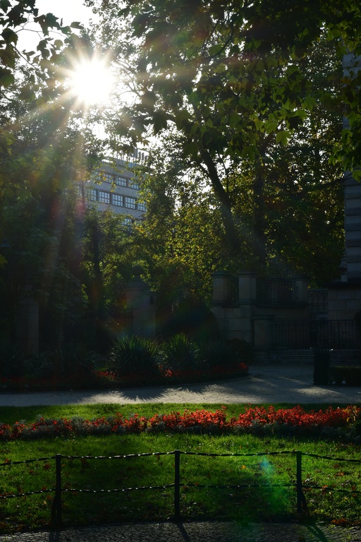 2019-10-12 Wrocław/DSC_2747.JPG